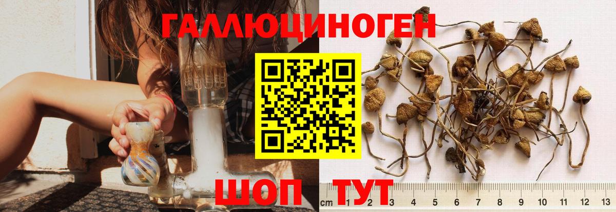 Алушта  Псилоцибиновые грибы мицелий  Вход с VPN  Галлюциногенные грибы Cubensis 